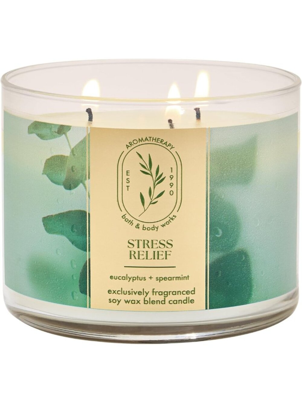 Eucalyptus Spearmint 3-Wick Candle | Relaxing Aromatherapy Soy Wax Blend